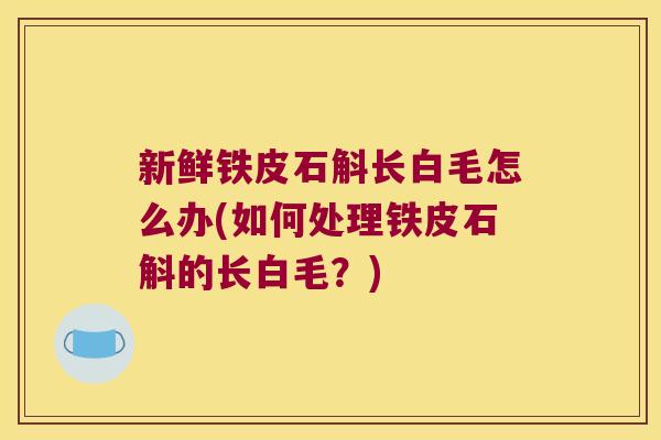 新鲜铁皮石斛长白毛怎么办(如何处理铁皮石斛的长白毛?) 新鲜铁皮石斛长白毛怎么办(如何处理铁皮石斛的长白毛?)