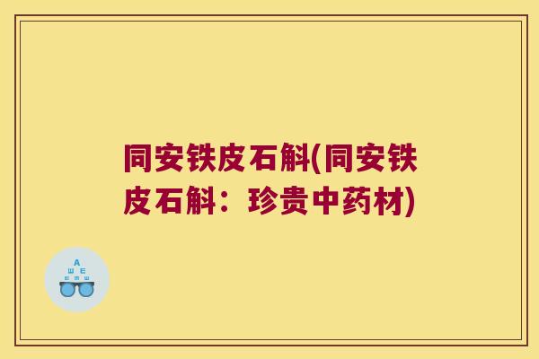 同安铁皮石斛(同安铁皮石斛：珍贵中药材)