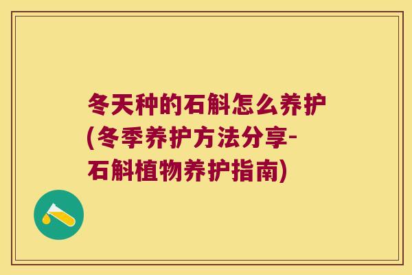 冬天种的石斛怎么养护(冬季养护方法分享-石斛植物养护指南)
