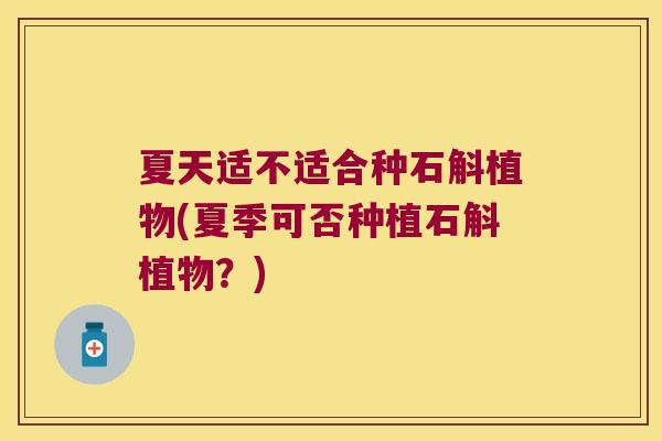 夏天适不适合种石斛植物(夏季可否种植石斛植物？)
