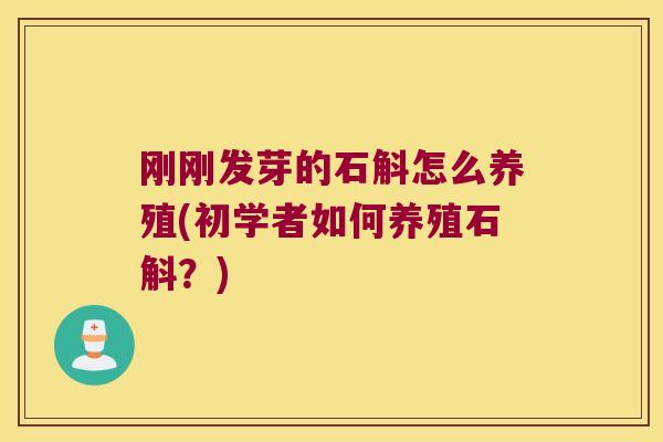 刚刚发芽的石斛怎么养殖(初学者如何养殖石斛？)