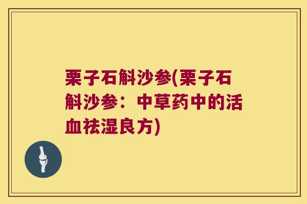 栗子石斛沙参(栗子石斛沙参：中草药中的活血祛湿良方)