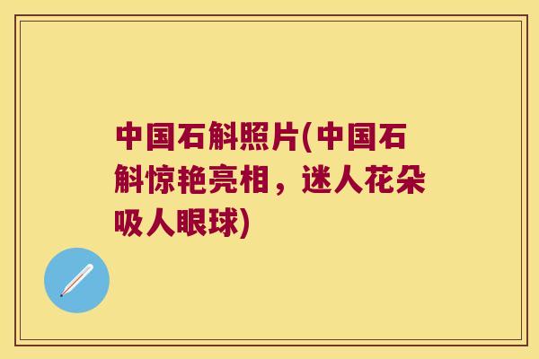 中国石斛照片(中国石斛惊艳亮相，迷人花朵吸人眼球)