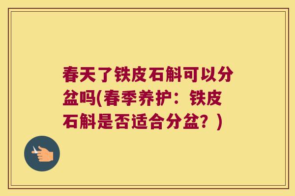 春天了铁皮石斛可以分盆吗(春季养护：铁皮石斛是否适合分盆？)