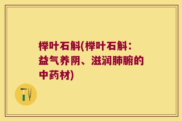 榉叶石斛(榉叶石斛：益气养阴、滋润肺腑的中药材)