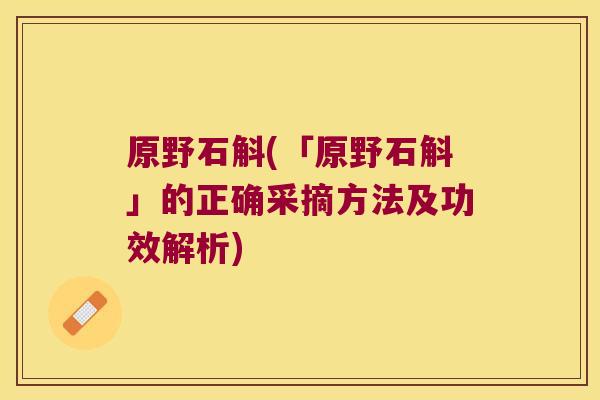 原野石斛(「原野石斛」的正确采摘方法及功效解析)