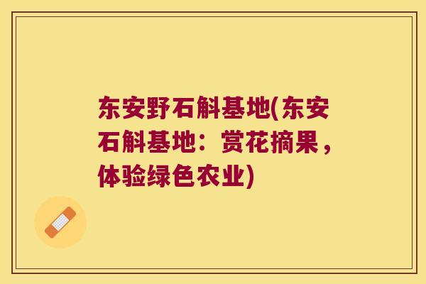 东安野石斛基地(东安石斛基地：赏花摘果，体验绿色农业)