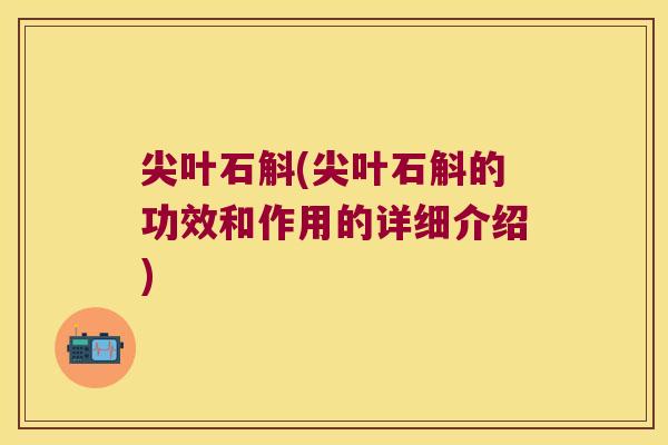 尖叶石斛(尖叶石斛的功效和作用的详细介绍)