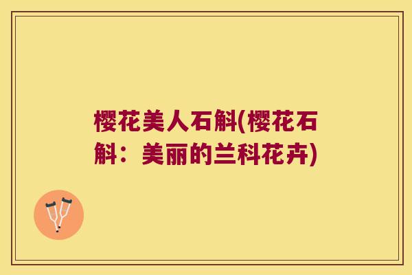 樱花美人石斛(樱花石斛：美丽的兰科花卉)