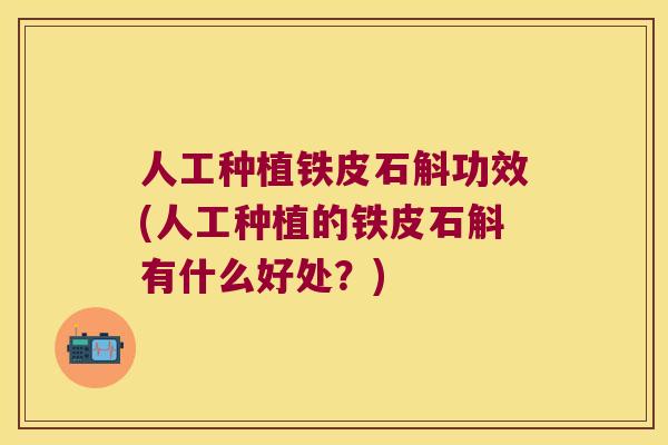 人工种植铁皮石斛功效(人工种植的铁皮石斛有什么好处？)