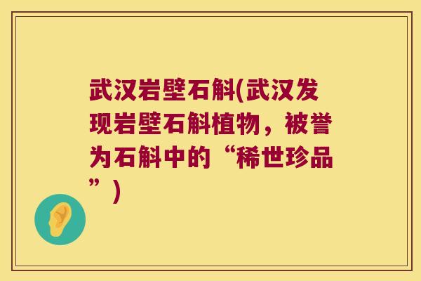 武汉岩壁石斛(武汉发现岩壁石斛植物，被誉为石斛中的“稀世珍品”)
