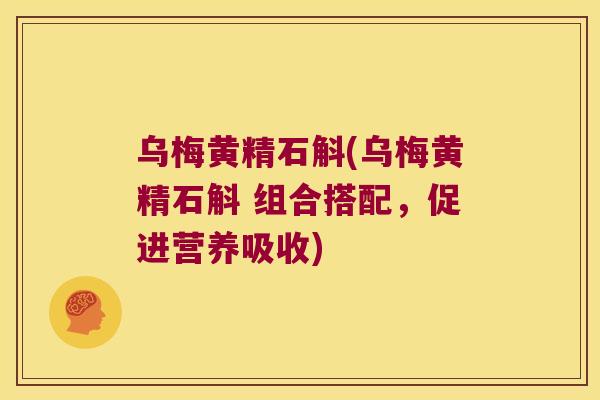 乌梅黄精石斛(乌梅黄精石斛 组合搭配，促进营养吸收)