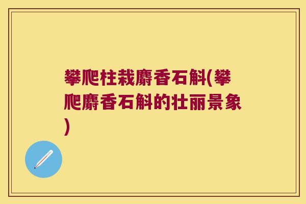 攀爬柱栽麝香石斛(攀爬麝香石斛的壮丽景象)