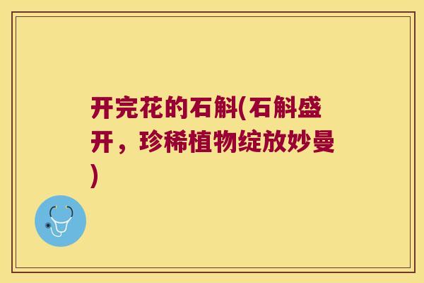 开完花的石斛(石斛盛开，珍稀植物绽放妙曼)