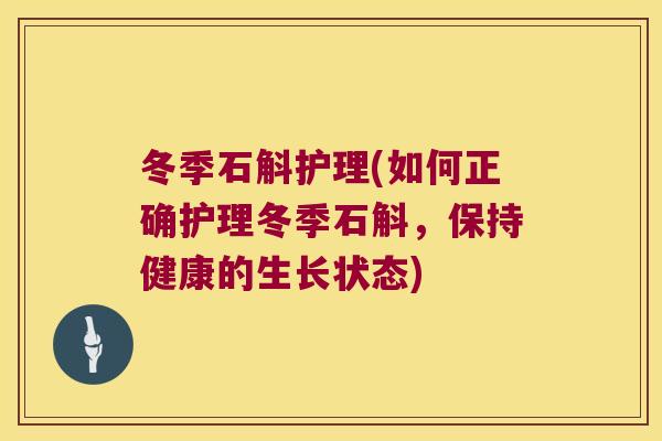 冬季石斛护理(如何正确护理冬季石斛,保持健康的生长状态) 冬季石斛护理(如何正确护理冬季石斛,保持健康的生长状态)