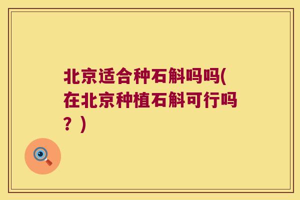 北京适合种石斛吗吗(在北京种植石斛可行吗？)