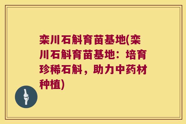 栾川石斛育苗基地(栾川石斛育苗基地：培育珍稀石斛，助力中药材种植)