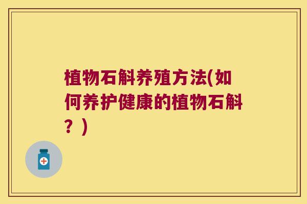 植物石斛养殖方法(如何养护健康的植物石斛?) 植物石斛养殖方法(如何养护健康的植物石斛?)