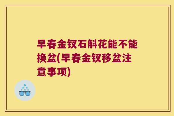 早春金钗石斛花能不能换盆(早春金钗移盆注意事项)