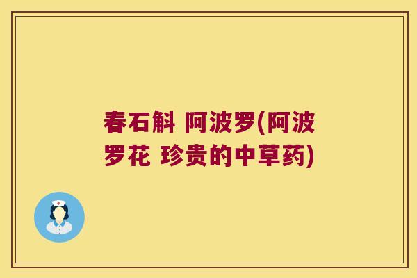 春石斛 阿波罗(阿波罗花 珍贵的中草药)