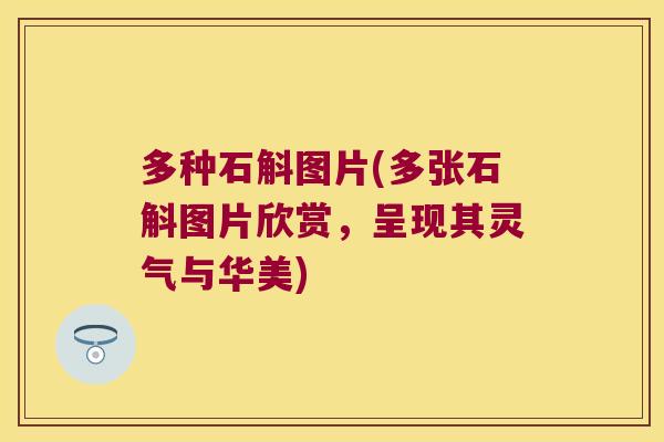 多种石斛图片(多张石斛图片欣赏，呈现其灵气与华美)