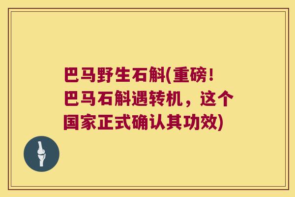 巴马野生石斛(重磅!巴马石斛遇转机,这个国家正式确认其功效) 巴马野生石斛(重磅!巴马石斛遇转机,这个国家正式确认其功效)