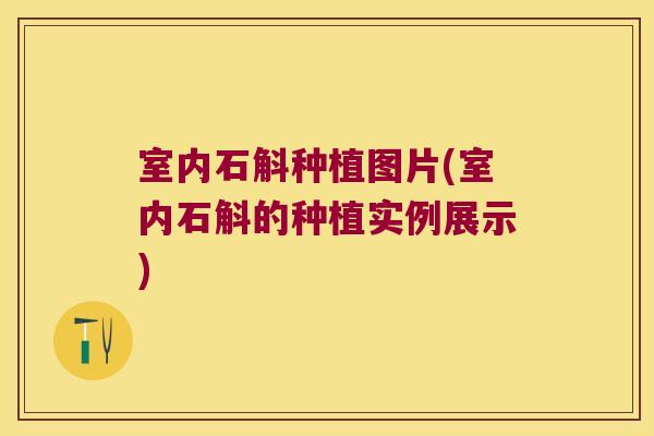 室内石斛种植图片(室内石斛的种植实例展示)
