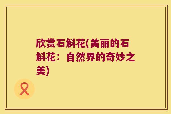 欣赏石斛花(美丽的石斛花：自然界的奇妙之美)