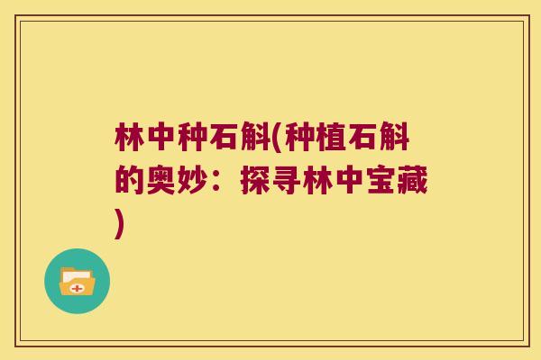 林中种石斛(种植石斛的奥妙：探寻林中宝藏)