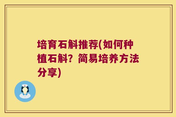 培育石斛推荐(如何种植石斛？简易培养方法分享)