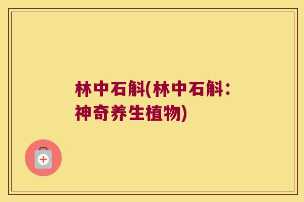 林中石斛(林中石斛：神奇养生植物)