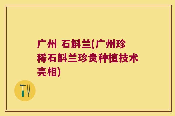 广州 石斛兰(广州珍稀石斛兰珍贵种植技术亮相)