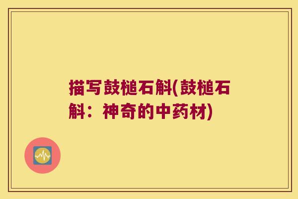 描写鼓槌石斛(鼓槌石斛：神奇的中药材)