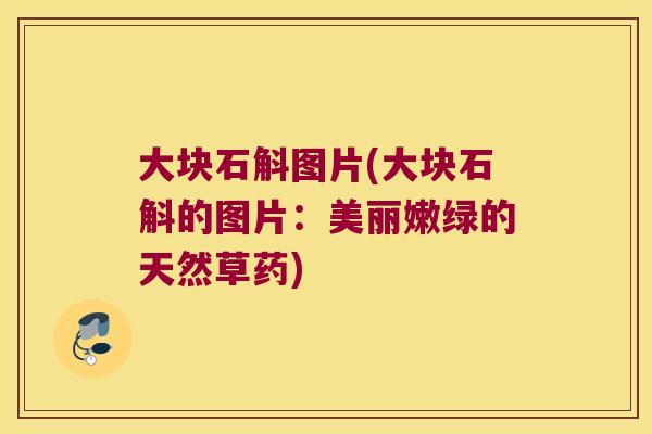 大块石斛图片(大块石斛的图片：美丽嫩绿的天然草药)