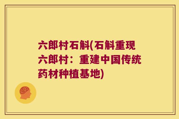 六郎村石斛(石斛重现六郎村：重建中国传统药材种植基地)