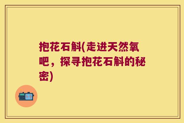 抱花石斛(走进天然氧吧，探寻抱花石斛的秘密)