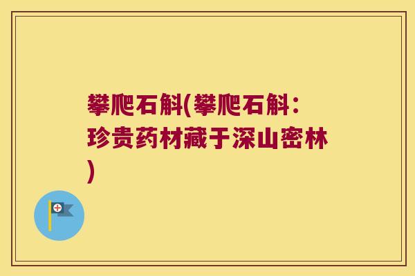 攀爬石斛(攀爬石斛：珍贵药材藏于深山密林)