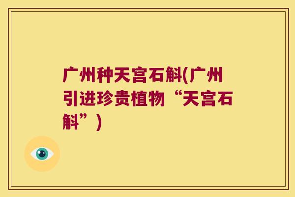 广州种天宫石斛(广州引进珍贵植物“天宫石斛”)