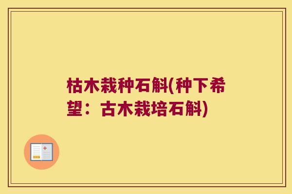 枯木栽种石斛(种下希望:古木栽培石斛) 枯木栽种石斛(种下希望:古木栽培石斛)