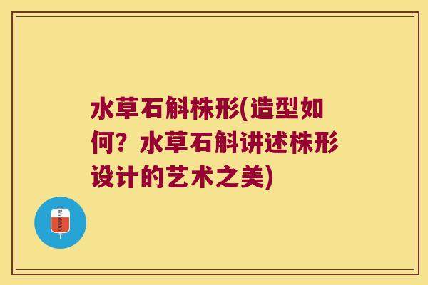 水草石斛株形(造型如何？水草石斛讲述株形设计的艺术之美)
