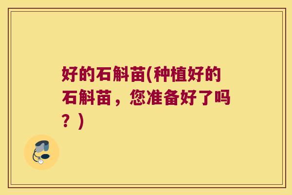 好的石斛苗(种植好的石斛苗，您准备好了吗？)