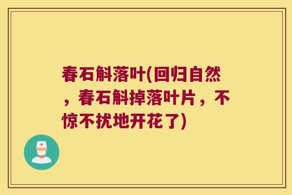 春石斛落叶(回归自然，春石斛掉落叶片，不惊不扰地开花了)