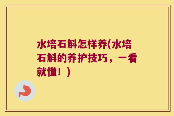 水培石斛怎样养(水培石斛的养护技巧，一看就懂！)