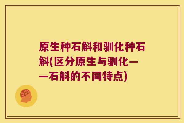 原生种石斛和驯化种石斛(区分原生与驯化——石斛的不同特点)