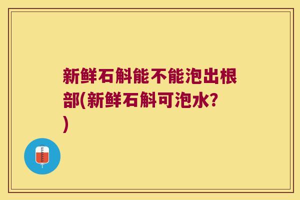 新鲜石斛能不能泡出根部(新鲜石斛可泡水？)
