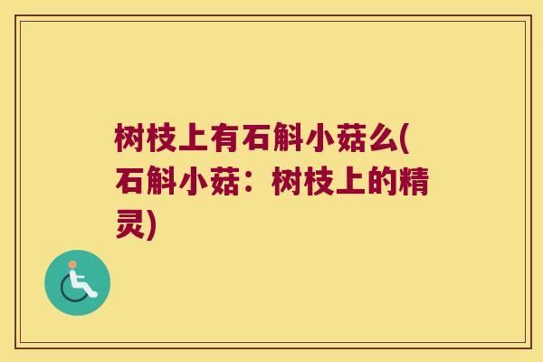 树枝上有石斛小菇么(石斛小菇：树枝上的精灵)