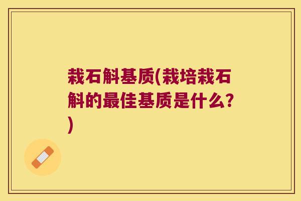 栽石斛基质(栽培栽石斛的最佳基质是什么？)
