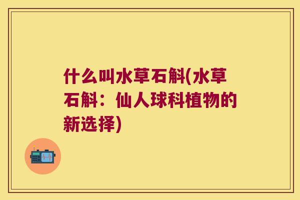 什么叫水草石斛(水草石斛：仙人球科植物的新选择)
