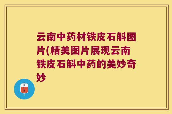云南中药材铁皮石斛图片(精美图片展现云南铁皮石斛中药的美妙奇妙
