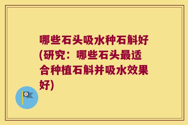 哪些石头吸水种石斛好(研究：哪些石头最适合种植石斛并吸水效果好)
